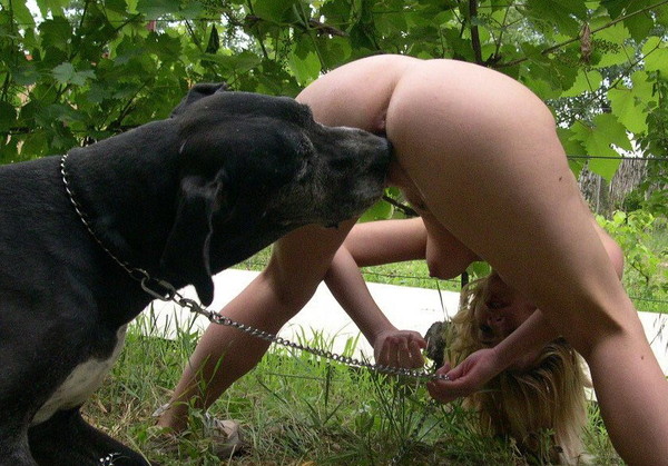 femme sodomise par chien